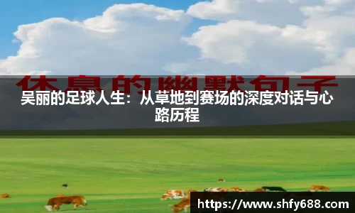 678体育app
